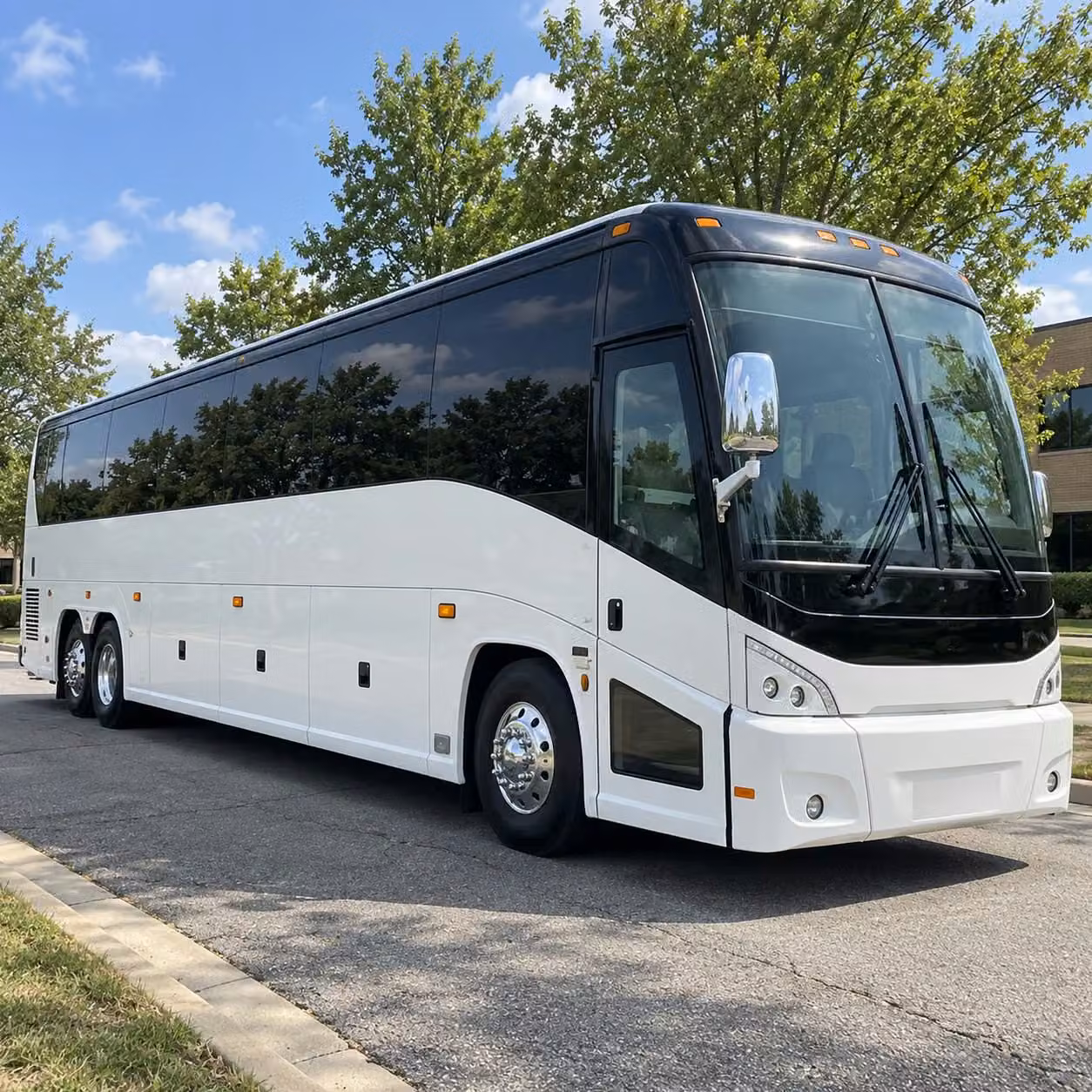 charter buses to the kentucky horse park lexington s most popular field trip destination