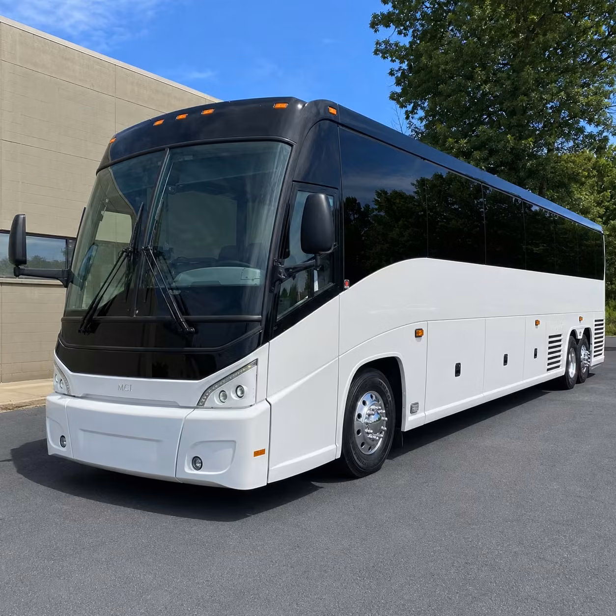 from rupp arena to nashville long distance group transportation for wildcats fans and beyond